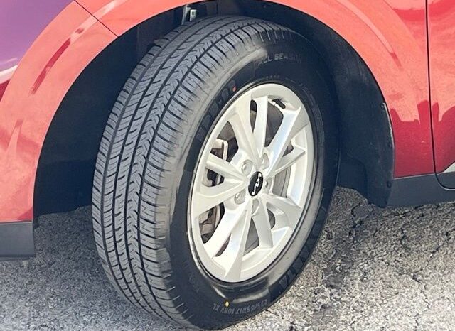 
 Kia Carnival full									