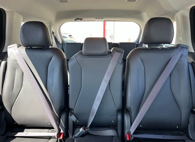 
 Kia Carnival full									