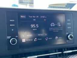 
 Kia Carnival full									
