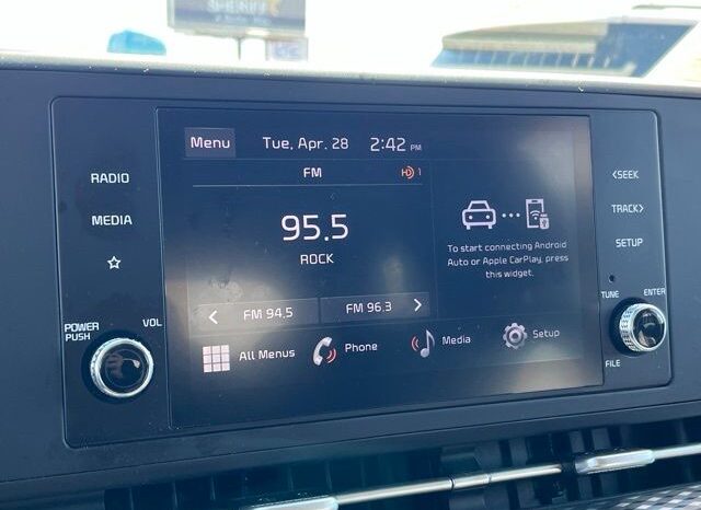 
 Kia Carnival full									