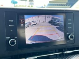 
 Kia Carnival full									