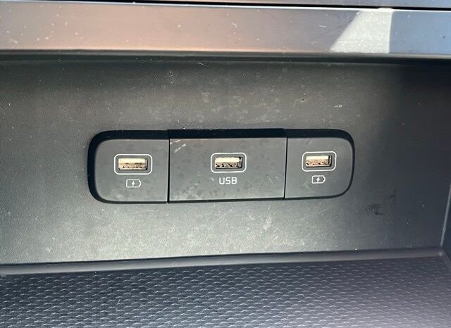
 Kia Carnival full									