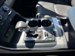 
 Kia Carnival full									