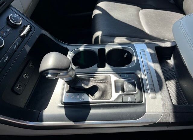 
 Kia Carnival full									