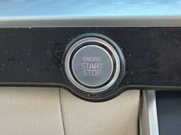 
 Kia Carnival full									