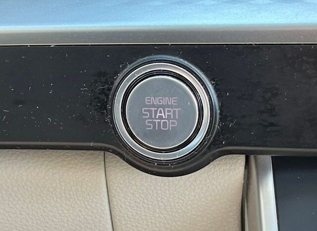 
 Kia Carnival full									
