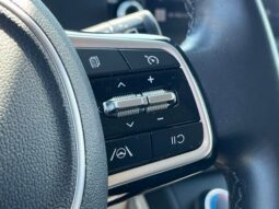 
 Kia Carnival full									