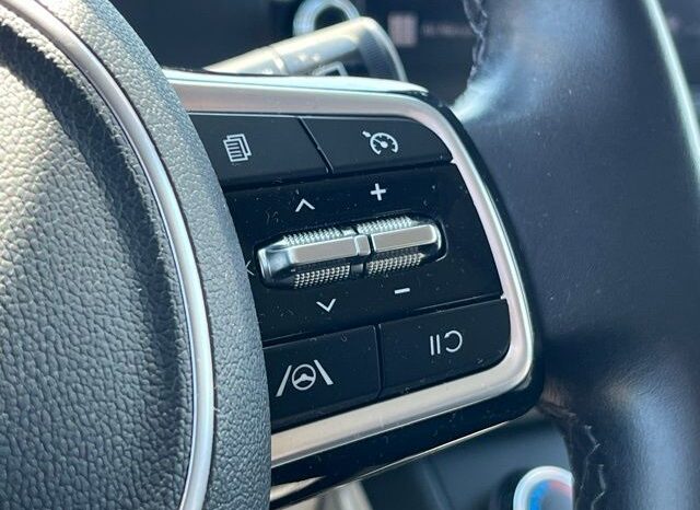 
 Kia Carnival full									