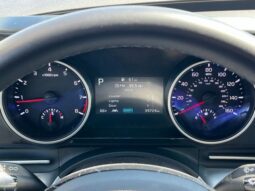 
 Kia Carnival full									