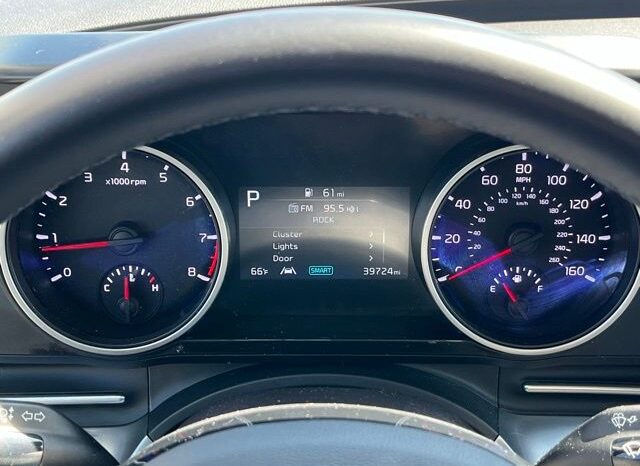 
 Kia Carnival full									