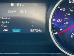 
 Kia Carnival full									