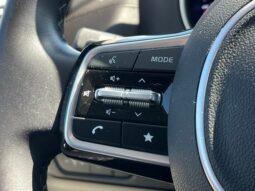 
 Kia Carnival full									