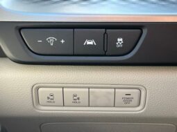 
 Kia Carnival full									