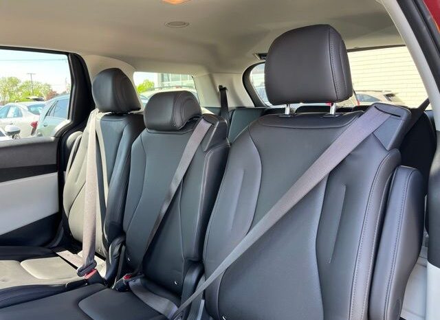 
 Kia Carnival full									