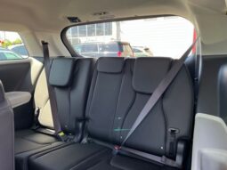 
 Kia Carnival full									
