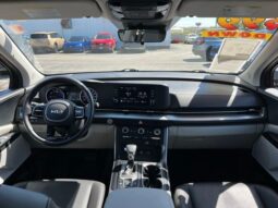 
 Kia Carnival full									