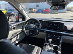 
 Kia Carnival full									