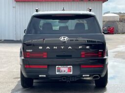 
 Hyundai Santa Fe full									