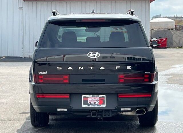 
 Hyundai Santa Fe full									