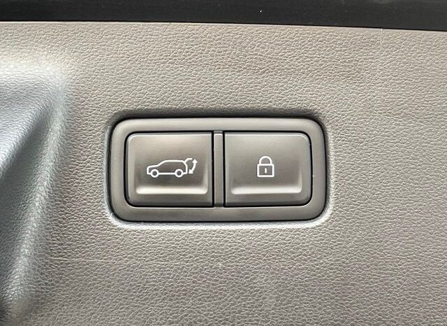 
 Hyundai Santa Fe full									