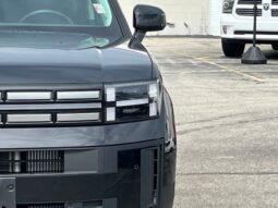 
 Hyundai Santa Fe full									