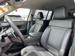 
 Hyundai Santa Fe full									