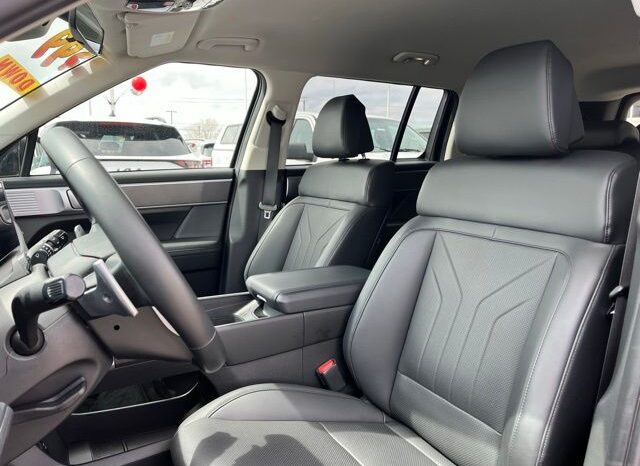 
 Hyundai Santa Fe full									