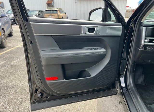 
 Hyundai Santa Fe full									