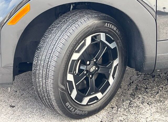 
 Hyundai Santa Fe full									