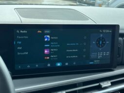 
 Hyundai Santa Fe full									