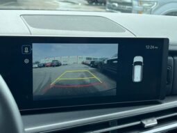 
 Hyundai Santa Fe full									