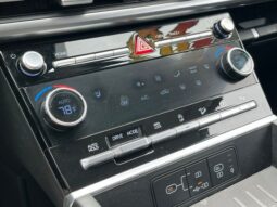 
 Hyundai Santa Fe full									