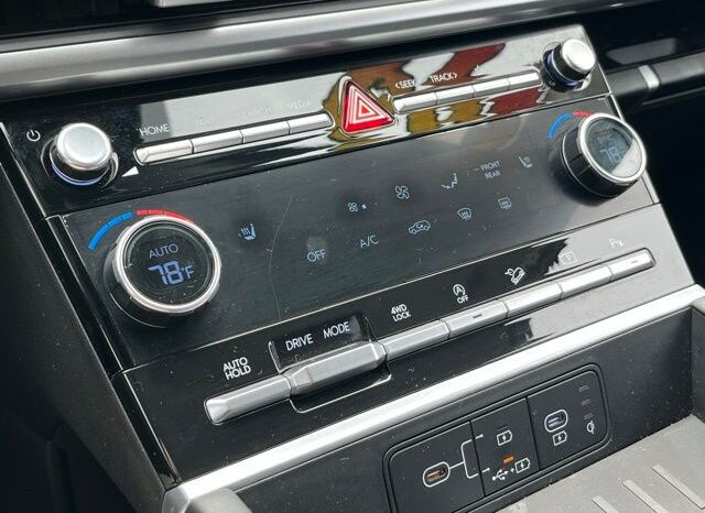 
 Hyundai Santa Fe full									