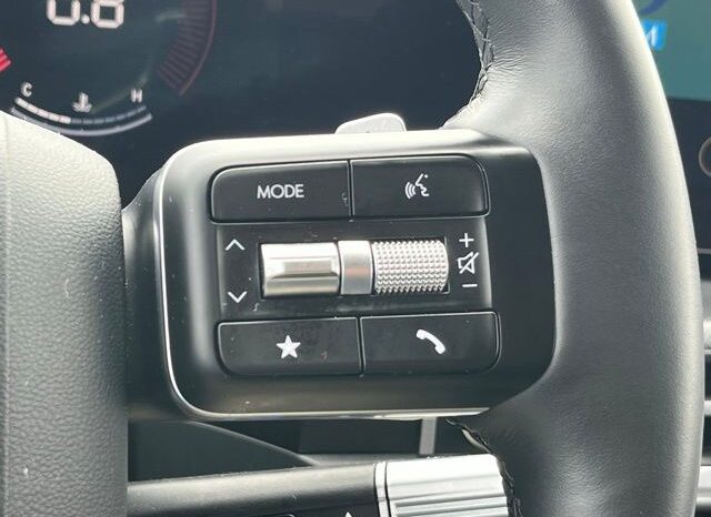 
 Hyundai Santa Fe full									