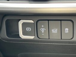 
 Hyundai Santa Fe full									