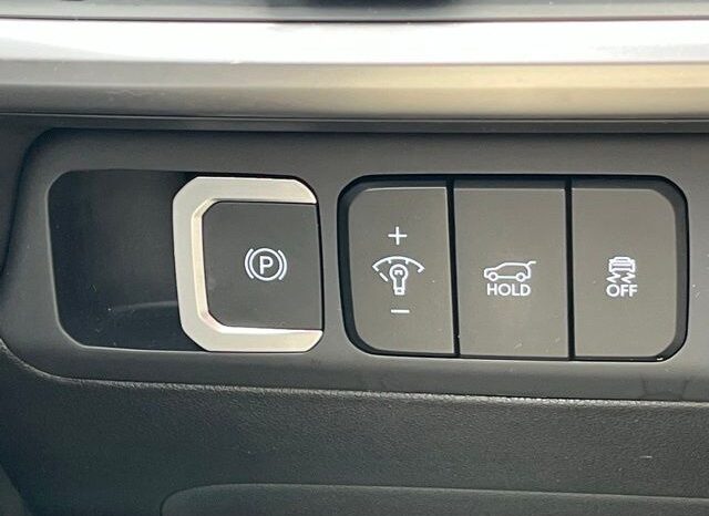 
 Hyundai Santa Fe full									