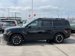 
 Hyundai Santa Fe full									