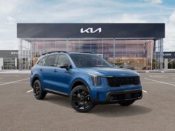 
 Kia Sorento Hybrid full									