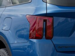 
 Kia Sorento Hybrid full									