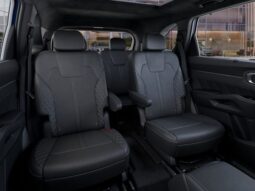 
 Kia Sorento Hybrid full									