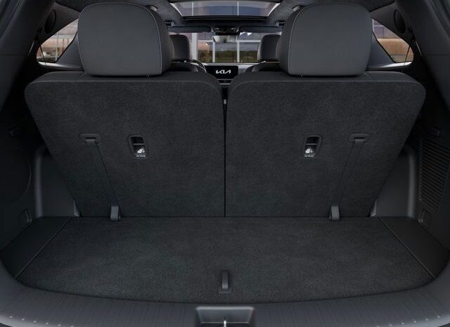 
 Kia Sorento Hybrid full									