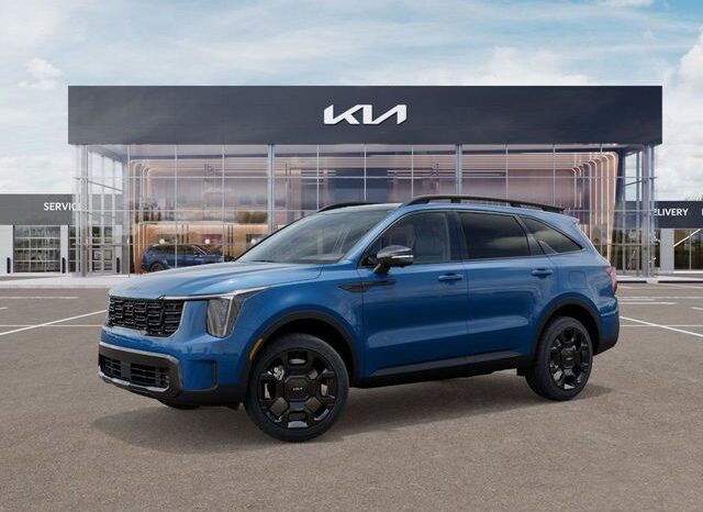 
 Kia Sorento Hybrid full									