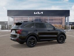 
 Kia Sorento full									