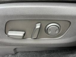
 Kia Carnival full									