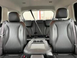 
 Kia Carnival full									
