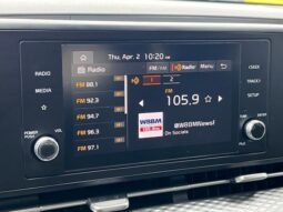 
 Kia Carnival full									