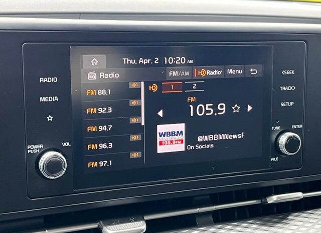 
 Kia Carnival full									