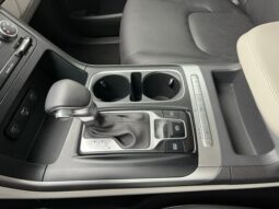 
 Kia Carnival full									