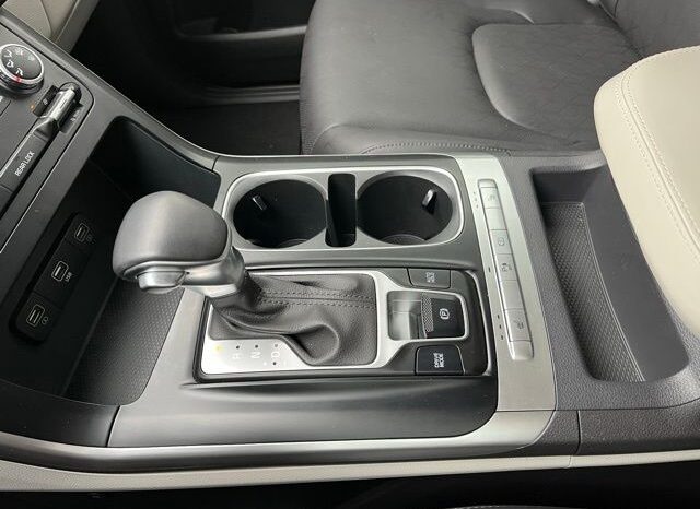 
 Kia Carnival full									
