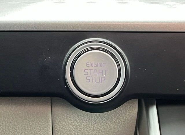 
 Kia Carnival full									